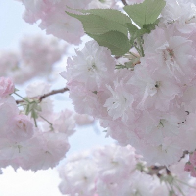 Furry绘画改稿灵感福瑞交流群